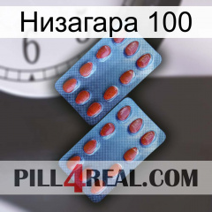 Низагара 100 05